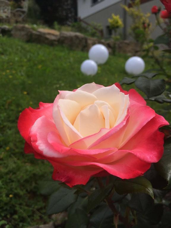 باد سولزا Traumparadies المظهر الخارجي الصورة